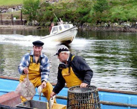 Golden'S Cove Apartments At Sneem Hotel Esterno foto